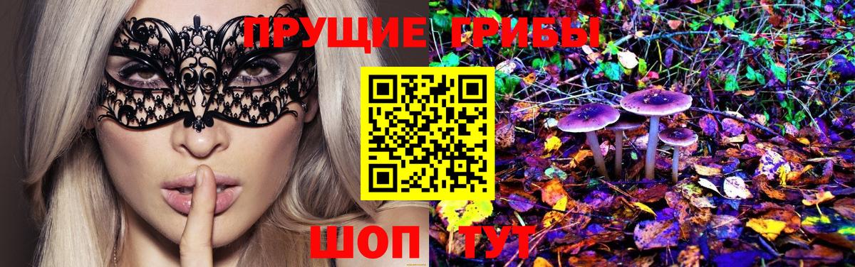 Галлюциногенные грибы Psilocybine cubensis Жигулёвск